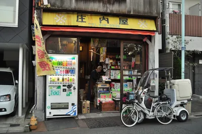 Yanaka Walking Tour in Tokyo: Historic and Traditional District with Temples, Cemetery & Shopping Street