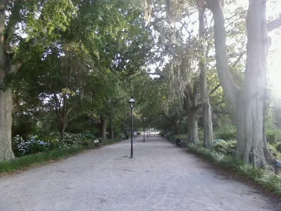 Charleston Old Town Trolley Sightseeing Tour