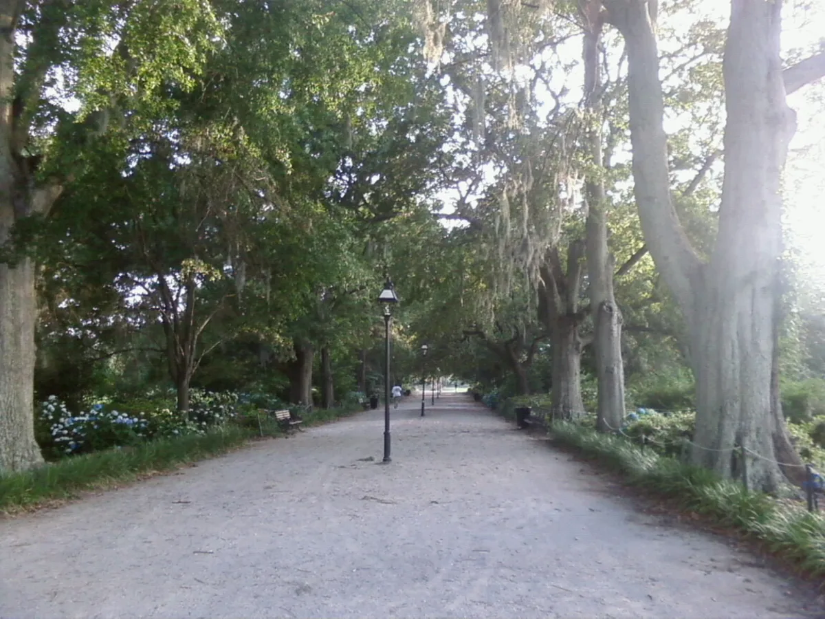 Charleston Old Town Trolley Sightseeing Tour