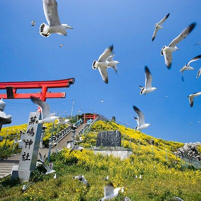 Japan Guide Agency
