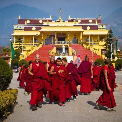 Guided Tibetan Culture Walk at Norbulingka, Gyuto and Nunnery