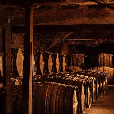 Private tour Cognac House in Segonzac with tasting