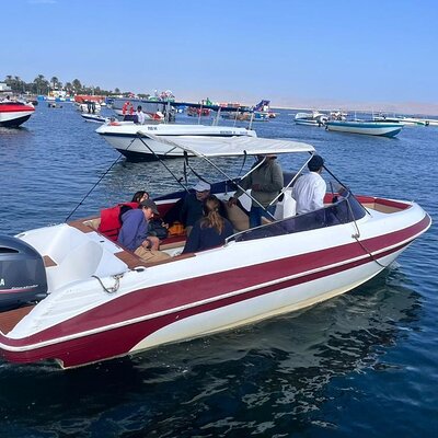 Private Tour Ballestas Islands and White Island from Paracas