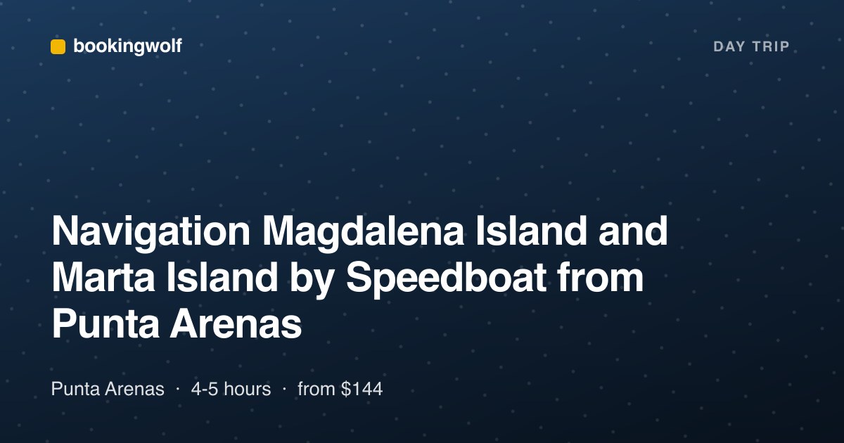Navigation Magdalena Island and Marta Island by Speedboat from Punta Arenas