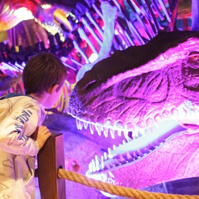 General Admission to Pangaea Land of the Dinosaurs