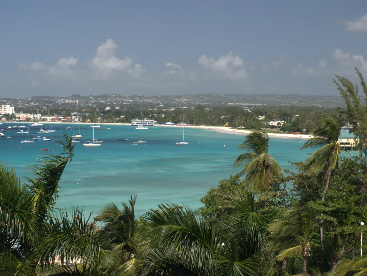 Barbados Catamaran Snorkel with Sea Turtles, Lunch and Open Bar