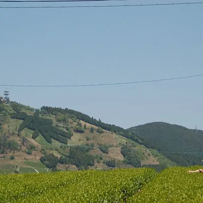 旅ノ舎(静岡)/やんばる日和(沖縄)　Tabinoya