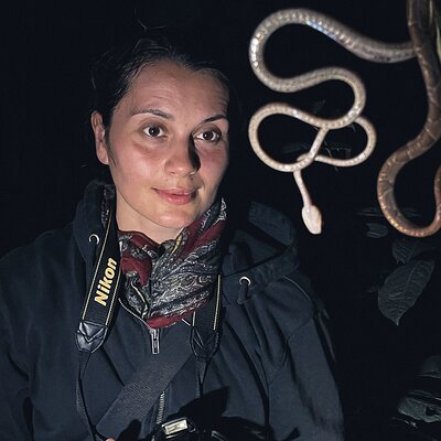 Secret Night Walk in Puerto Jimenez