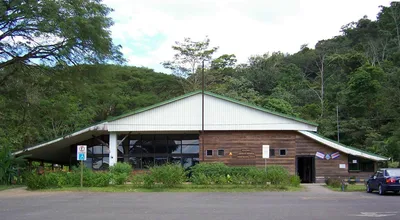 Carara National Park Guided Visit with Ticket Included