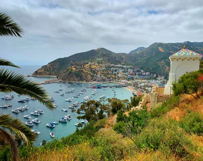 Catalina Island Private Guided Golf Cart Tour of Avalon