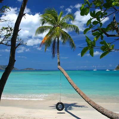 Caribbean Blue Boat Charters Day Tours