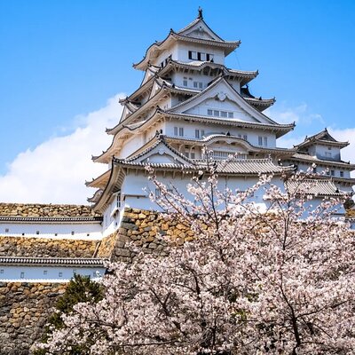 Snow Monkey Resorts Tours (Machinovate Japan Ltd.)