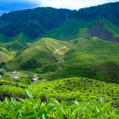 CS TRAVEL & TOUR SDN BHD
