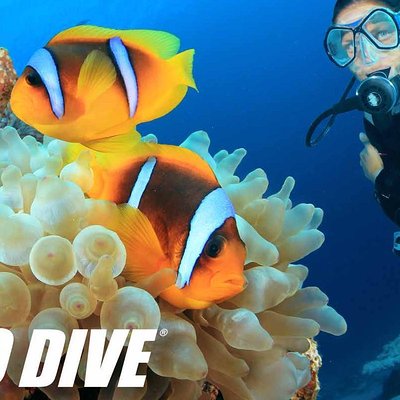 Exploration dives