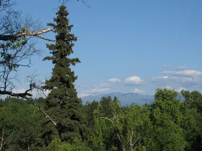 Tony Knowles Coastal Trail Scenic Bike Tour in Anchorage