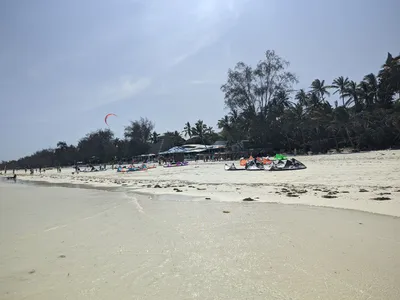 Kisite Marine Park Snorkeling Tour on Pilli Pipa Dhow with Wasini Island Lunch