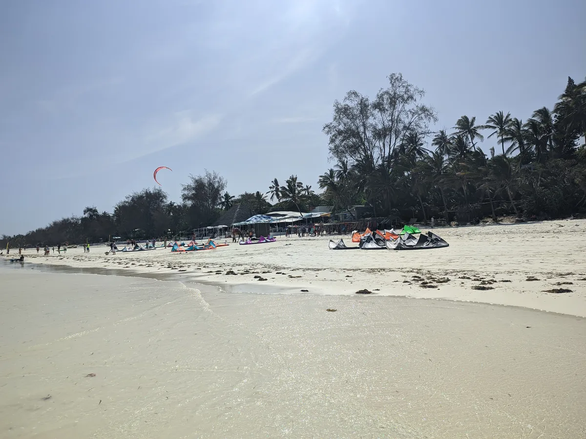 Kisite Marine Park Snorkeling Tour on Pilli Pipa Dhow with Wasini Island Lunch