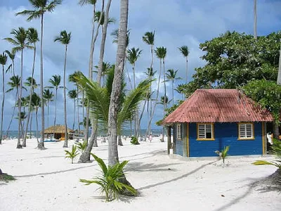 Full-Day Cruise to Saona Island with Natural Pool Visit and Lunch