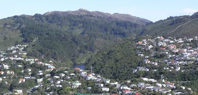 Zealandia Wellington Small-Group 2-Hour Eco Wildlife Tour