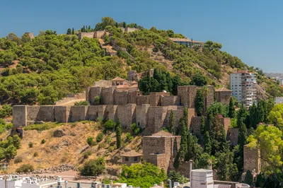 Malaga City 2-Hour Monumental Segway Tour