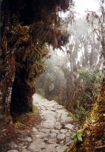 Humantay Lake 1-Day Private Excursion from Cusco with Breakfast and Lunch