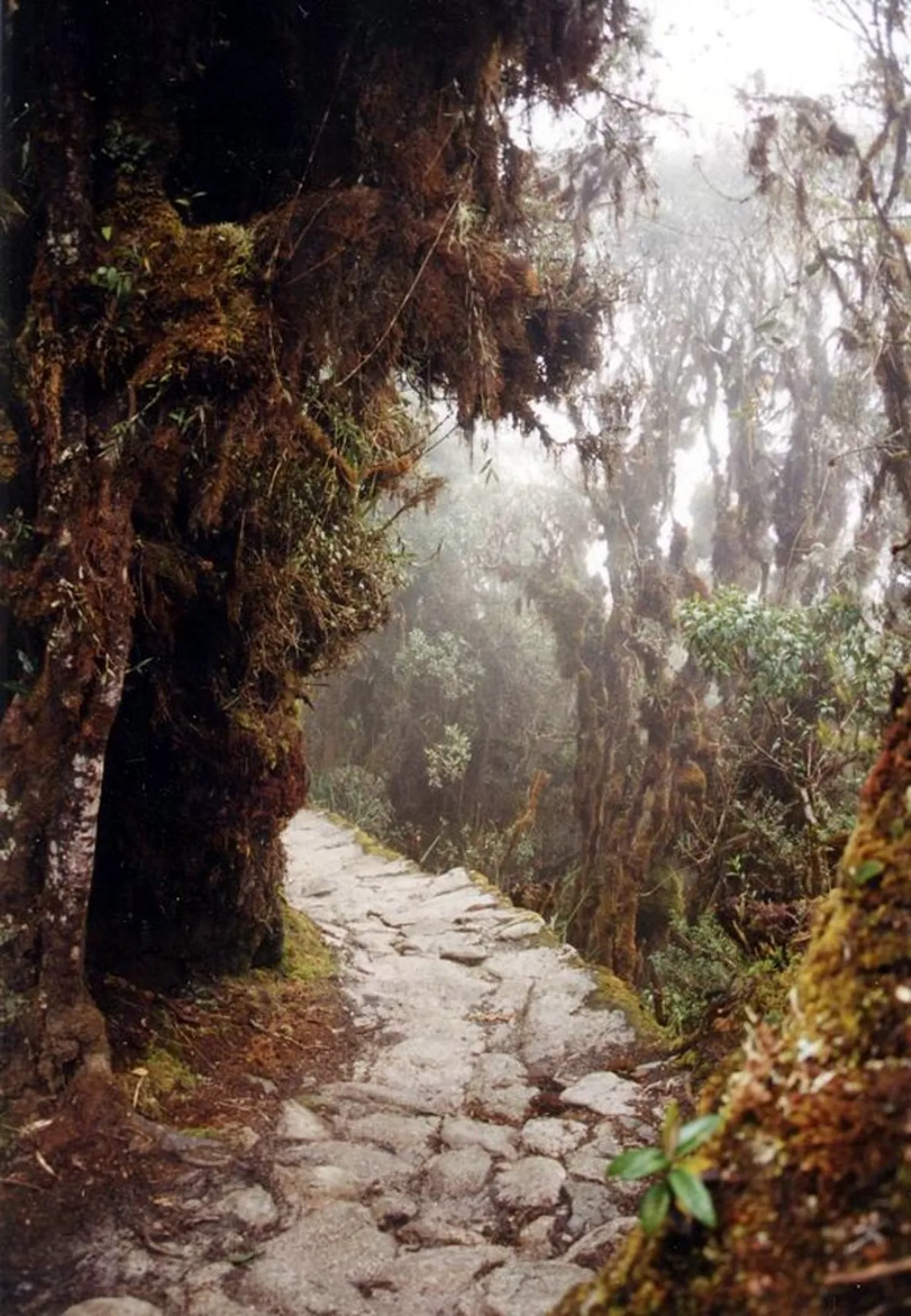 Humantay Lake 1-Day Private Excursion from Cusco with Breakfast and Lunch