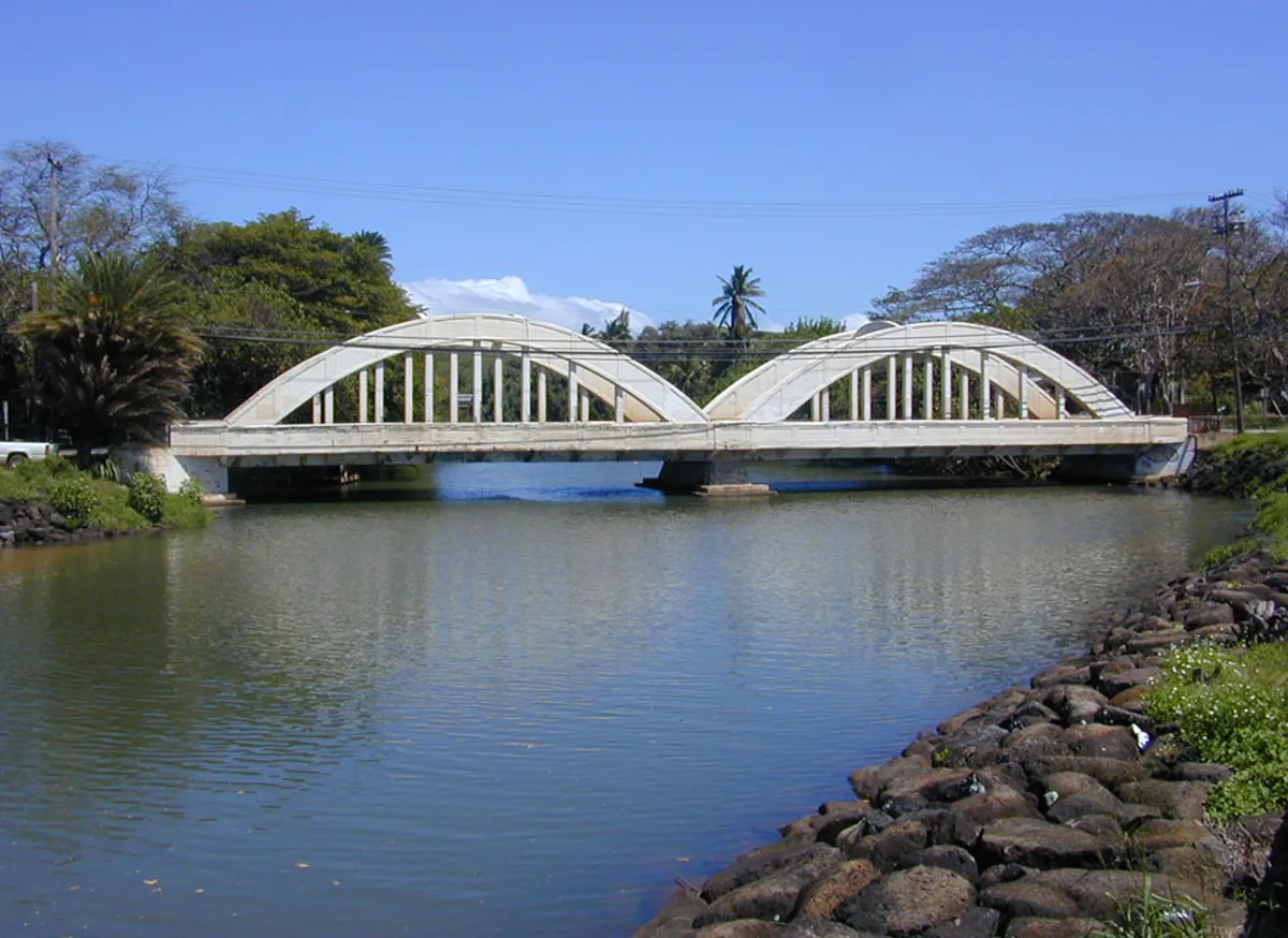 Shark-Dive Tour on Oahu's North Shore with Snorkeling Equipment