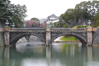 Tokyo Half-Day Afternoon Tour by Hato Bus with Imperial Palace, Senso-ji Temple & Tokyo Tower