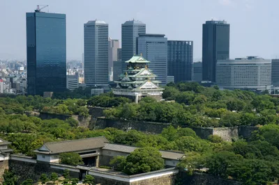 Osaka Kuromon Market Food Walking Tour with 6 Stops (6 Tastes)