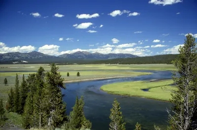 Yellowstone Private Tour: Iconic Sites, Wildlife, Family-Friendly Hikes with Lunch