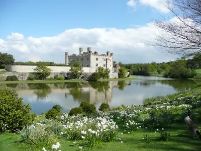 Leeds Castle, Canterbury Cathedral and White Cliffs of Dover Day Trip