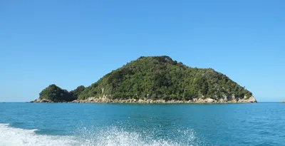 Abel Tasman National Park Day Trip by Boat from Nelson