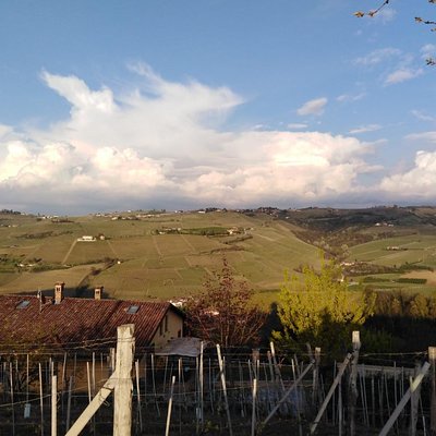 Abellonio Roberto Cascina Piccaluga
