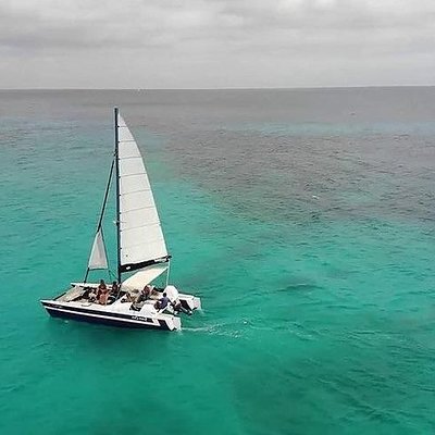 Action Charters Inc