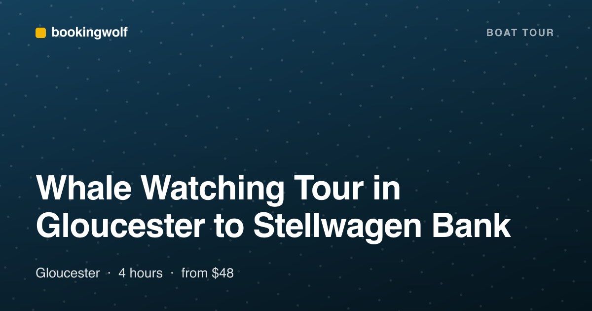 Whale Watching Tour in Gloucester to Stellwagen Bank