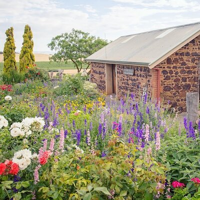 Adelaide Wine Tours & McLaren Vale Wine Tours
