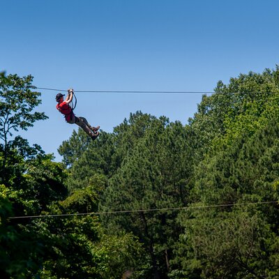 The Adventure Park at Virginia Aquarium