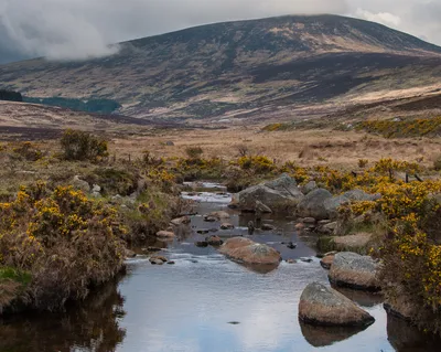 Dublin Mountains 5-Hour Small-Group Pub Tour with 3 Rural Pub Visits and Live Music (Max 15)