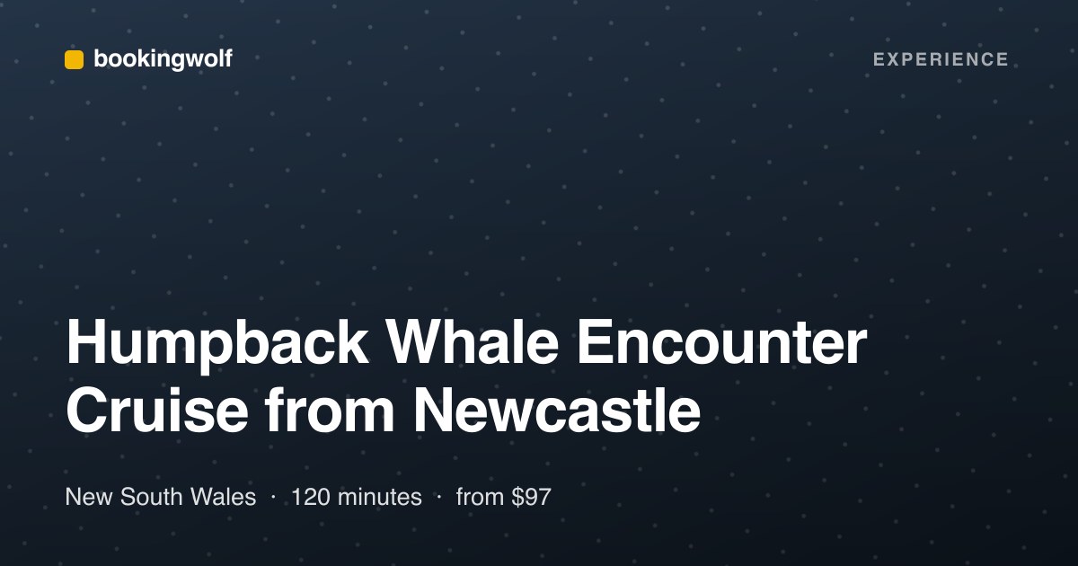 Humpback Whale Encounter Cruise from Newcastle