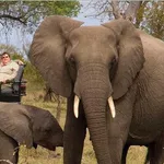 Africa Top Tours
