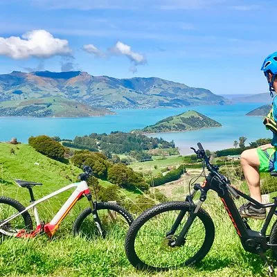 Akaroa Guided Kayaks
