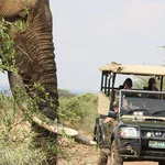 Ama-Zing African Safaris