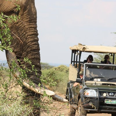 Ama-Zing African Safaris