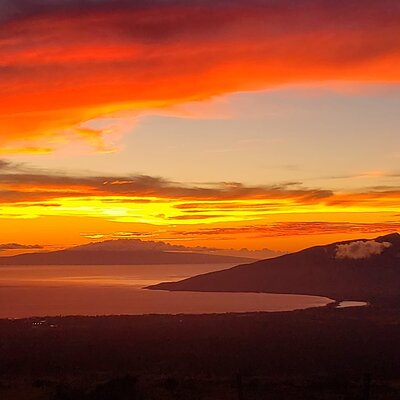 Amazing Maui Stars