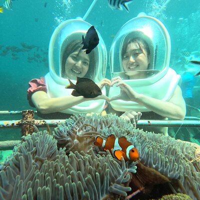 Aryava Bali