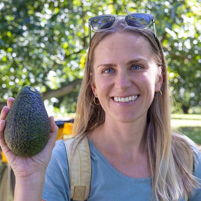 Avocado Tours NZ