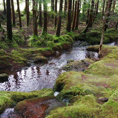 AZORES TRAVEL | TOURS AND TRANSFERES