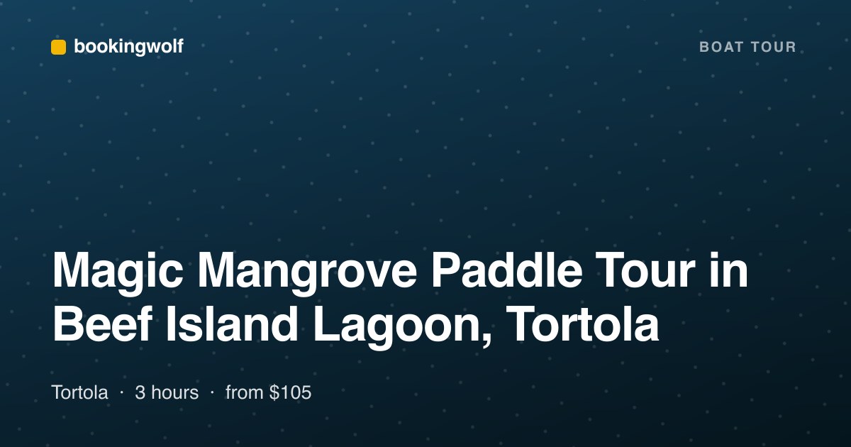 Magic Mangrove Paddle Tour in Beef Island Lagoon, Tortola