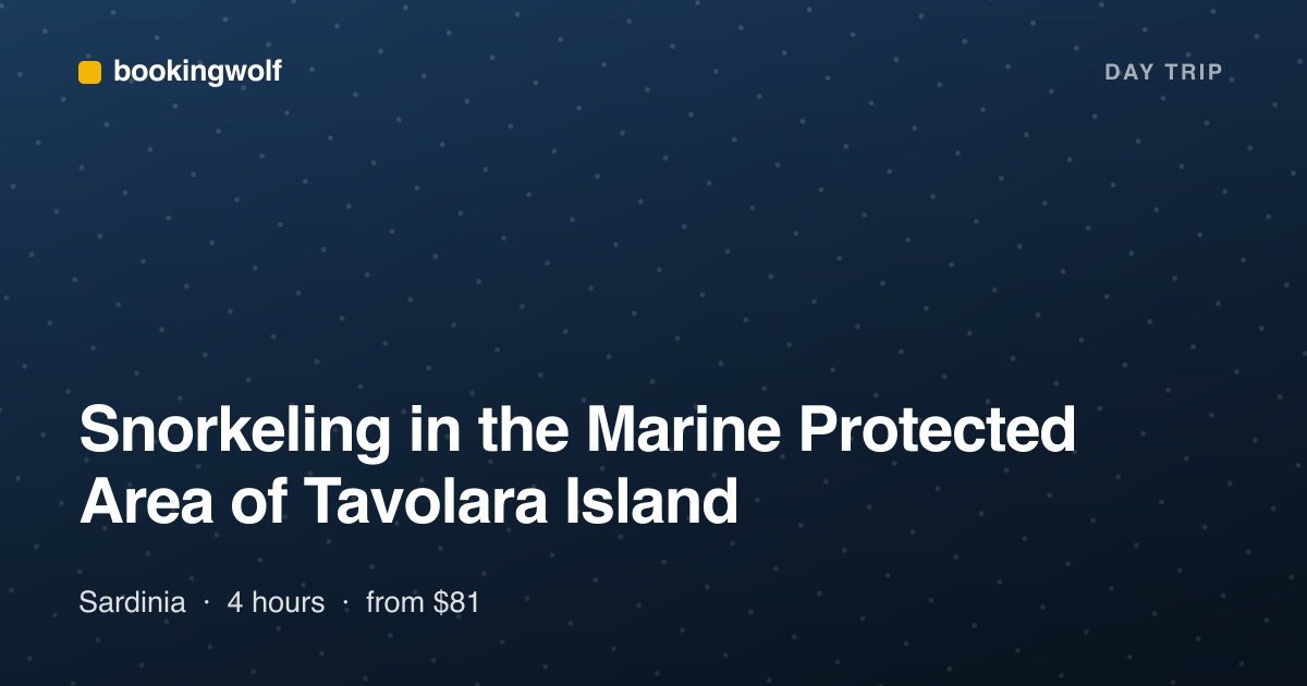 Snorkeling in the Marine Protected Area of Tavolara Island