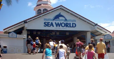 Gold Coast 2-Hour Buffet Lunch and Sightseeing Cruise from Surfers Paradise